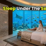 A breathtaking view of the ultra-luxury Underwater Suite at Atlantis The Palm Dubai representing premium travel deals.